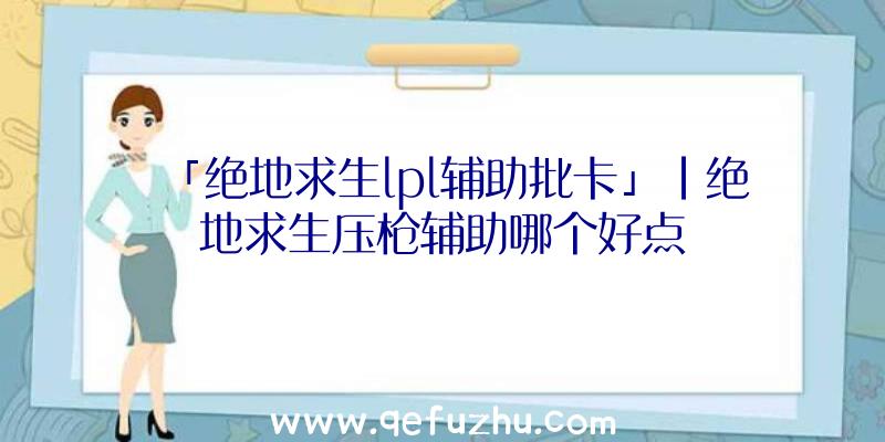 「绝地求生lpl辅助批卡」|绝地求生压枪辅助哪个好点